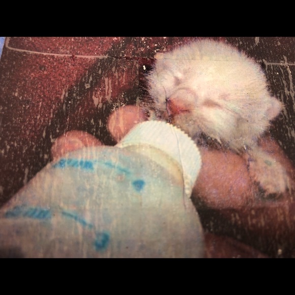 Greetings - Picture 2 of 2